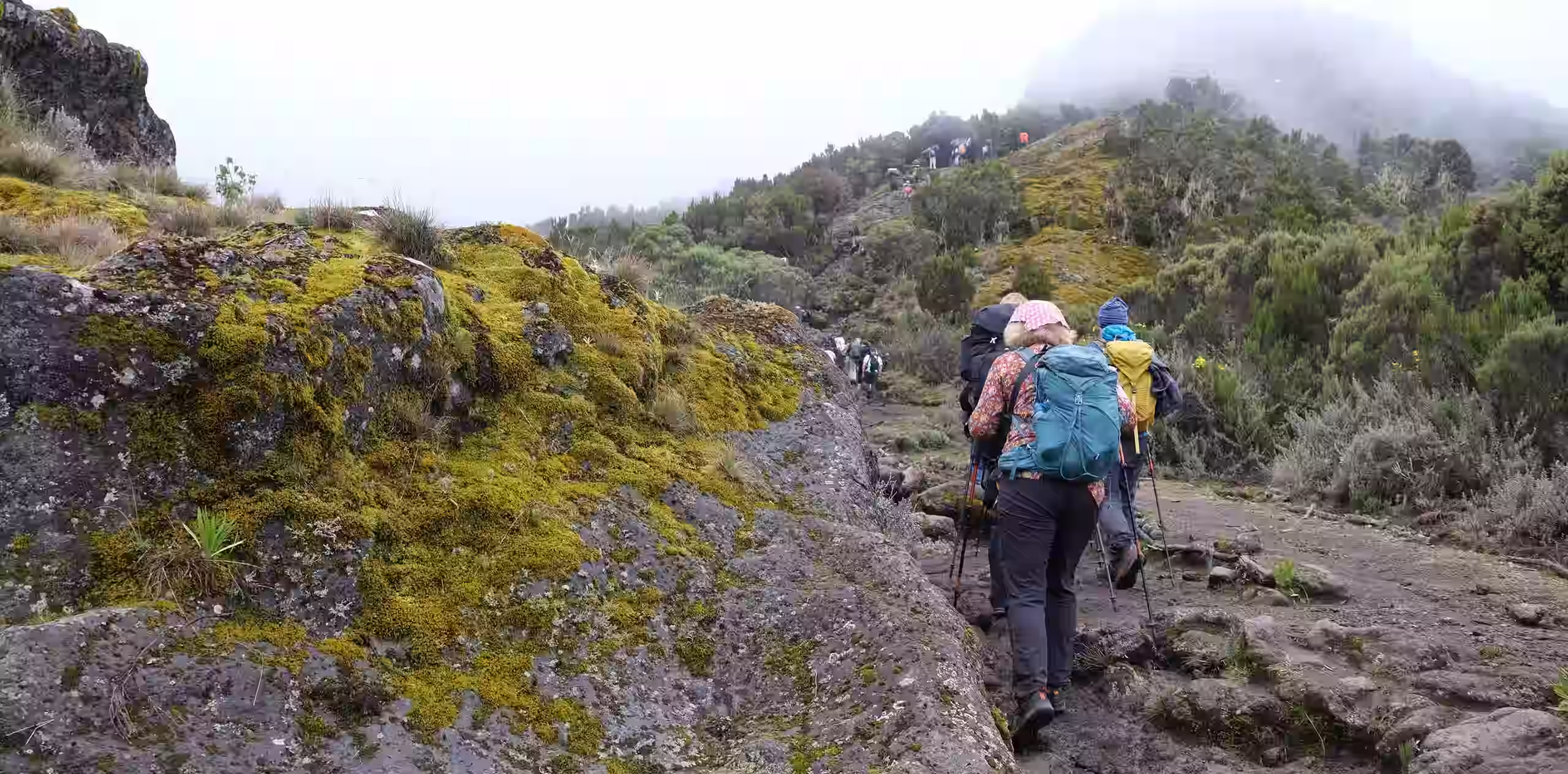 is climbing kilimanjaro safe 