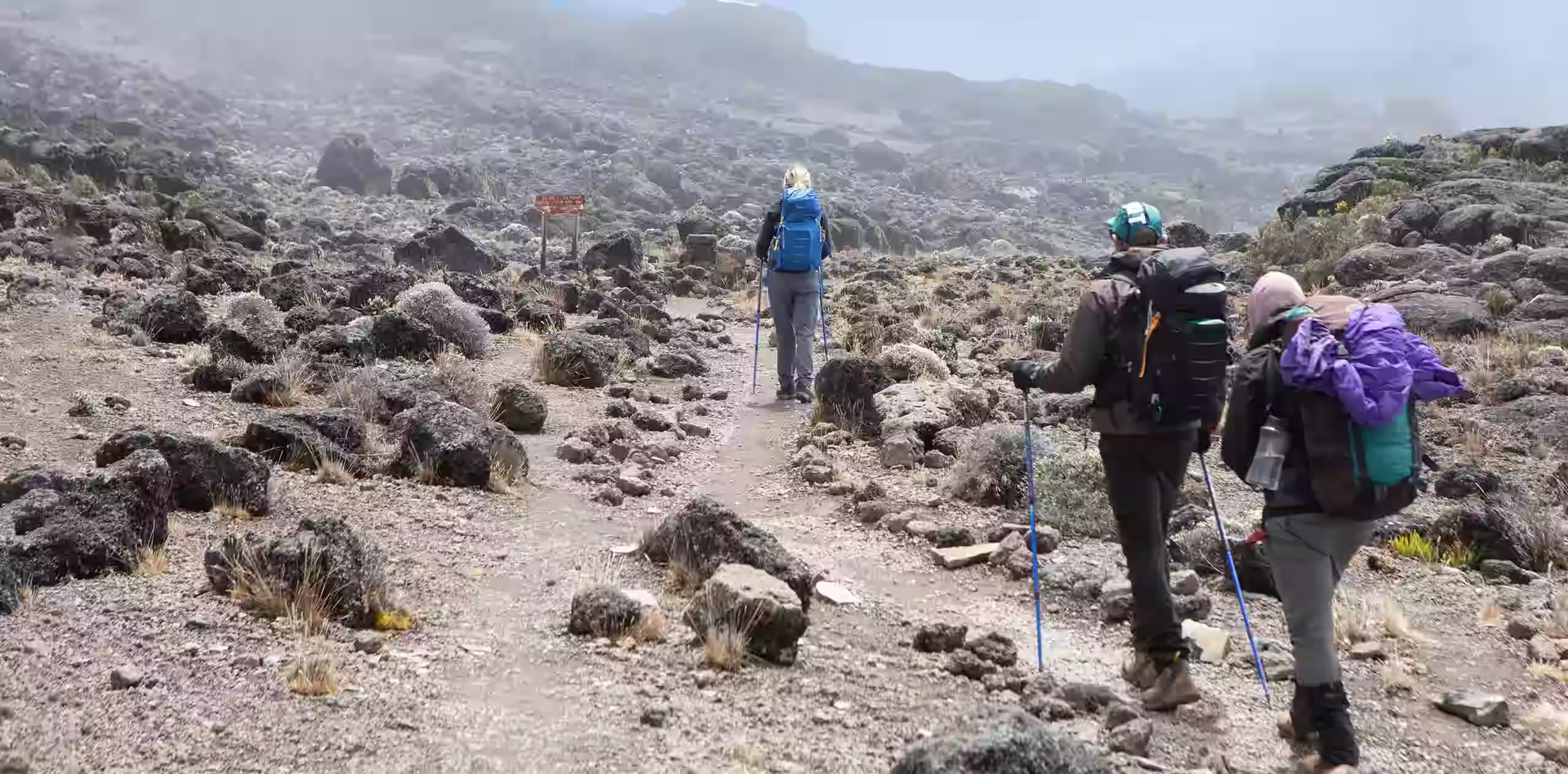 Kilimanjaro Climb In June