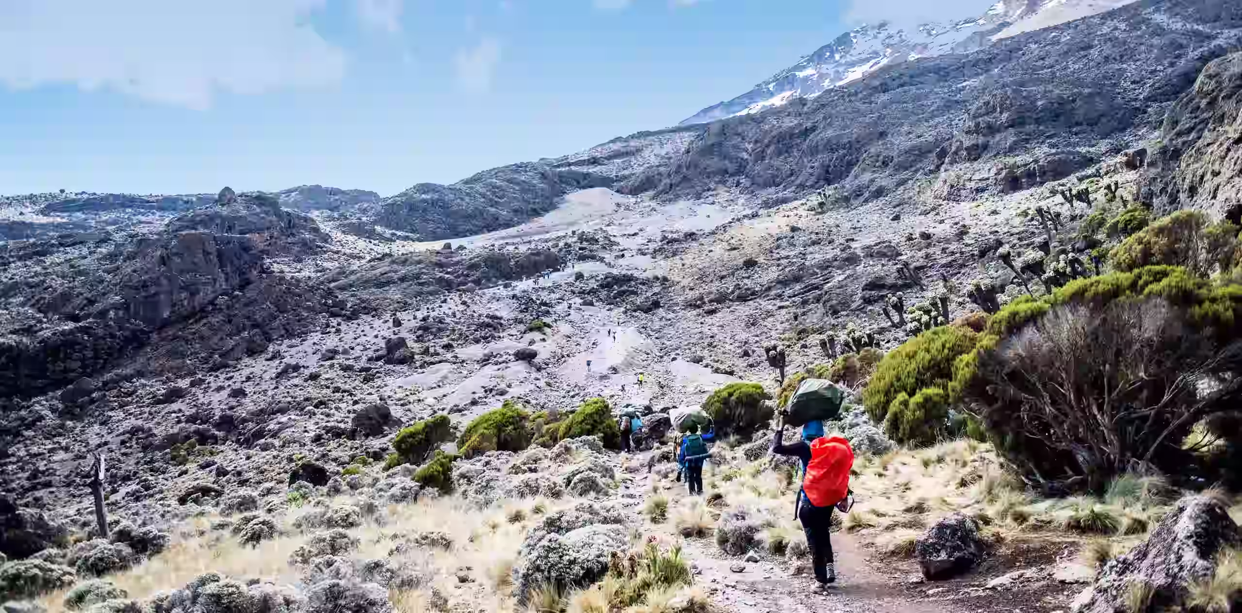 Kilimanjaro Climb In May