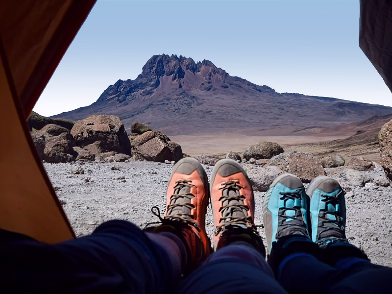 Mount Kilimanjaro Movies