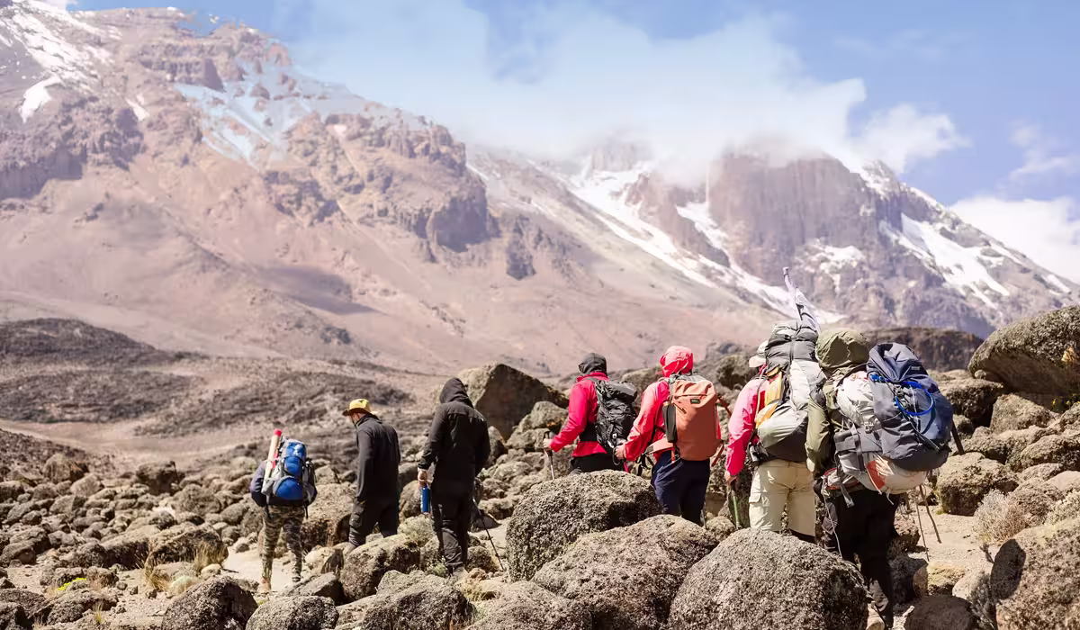 Kilimanjaro Climb From Netherlands