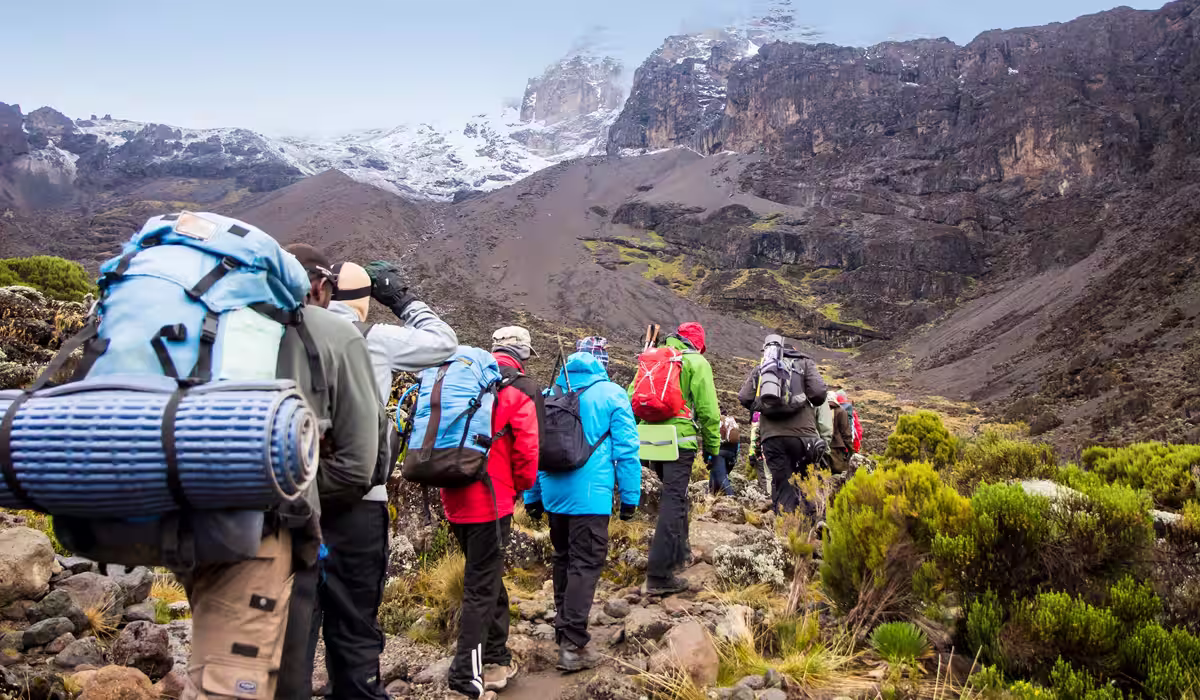 Kilimanjaro Safaris