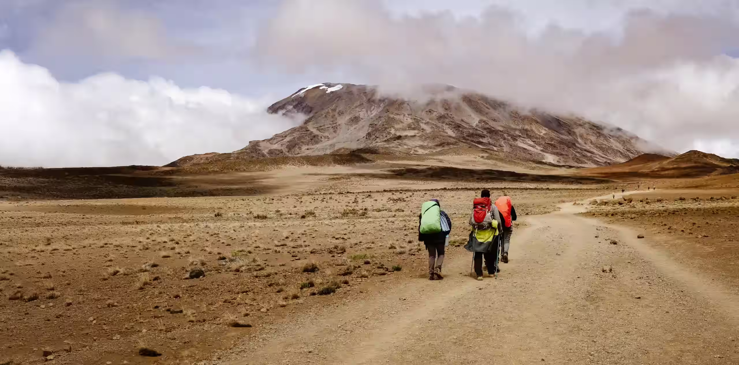 Kilimanjaro Tailormade Private Treks