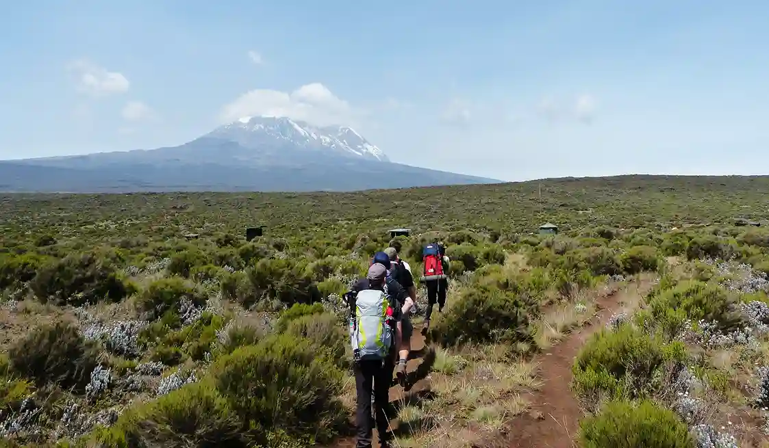 Kilimanjaro Climb From Canada