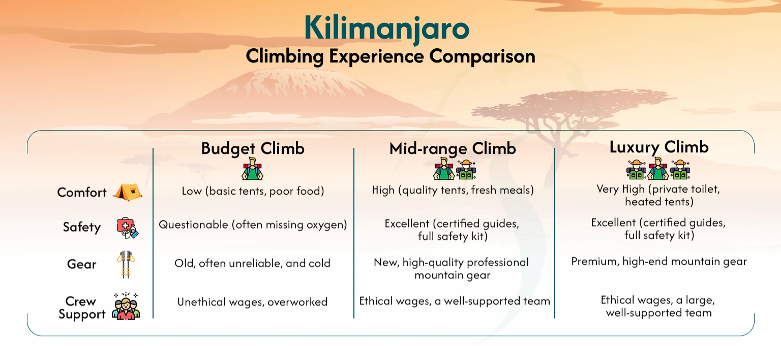 Side-By-Side Comparison