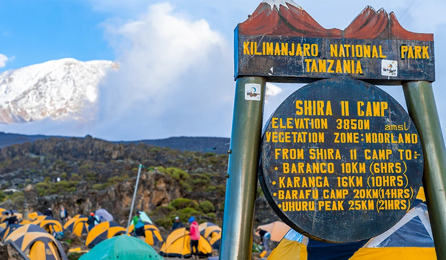 Budget Vs Mid-Range Vs Luxury