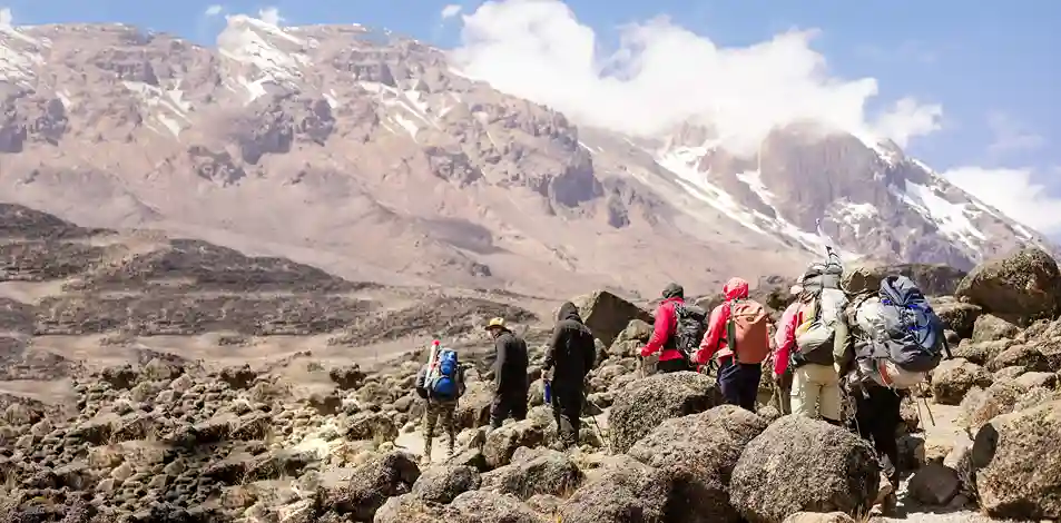 Kilimanjaro Climbing Experience