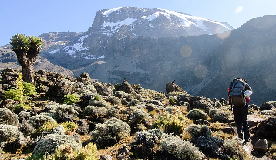 Choice Affects Difficulty