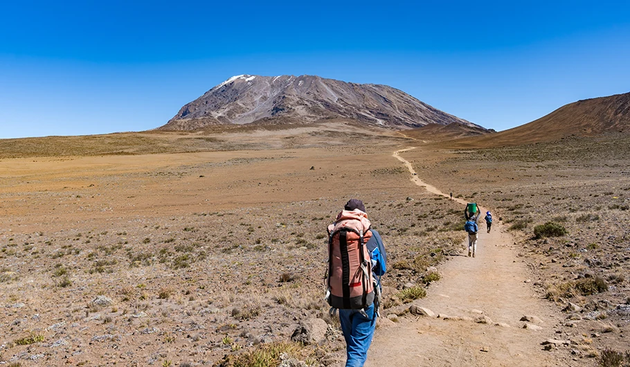 How Long Does it Take