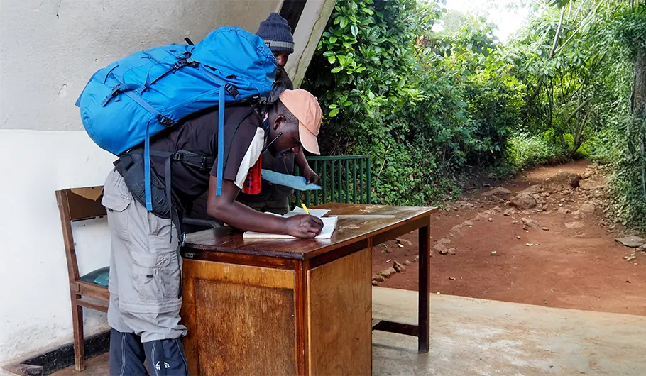 A Beginner’s Reality Check