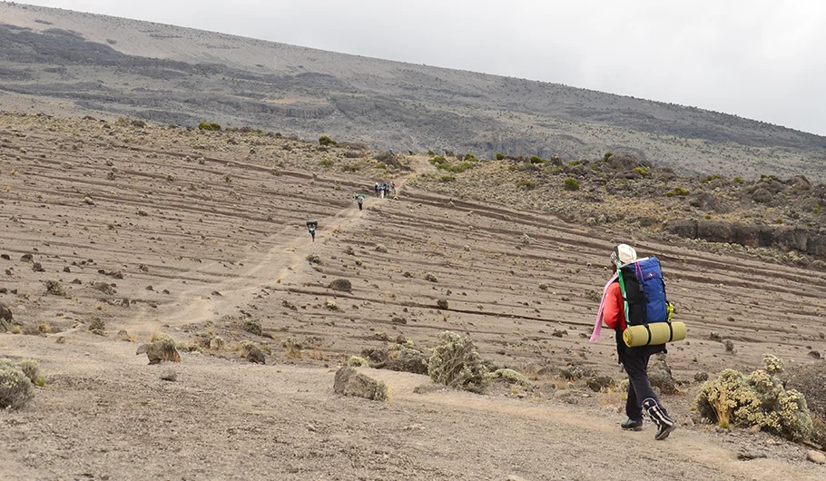 Cost Of Climbing Kilimanjaro
