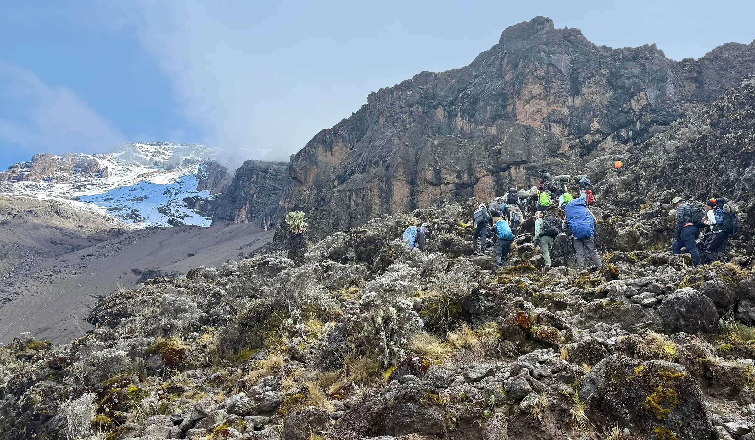 Mount Kilimanjaro Pictures 