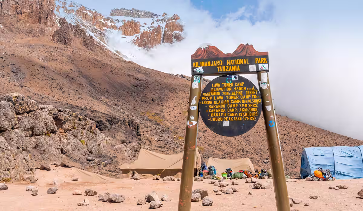 Kilimanjaro Lava Tower 