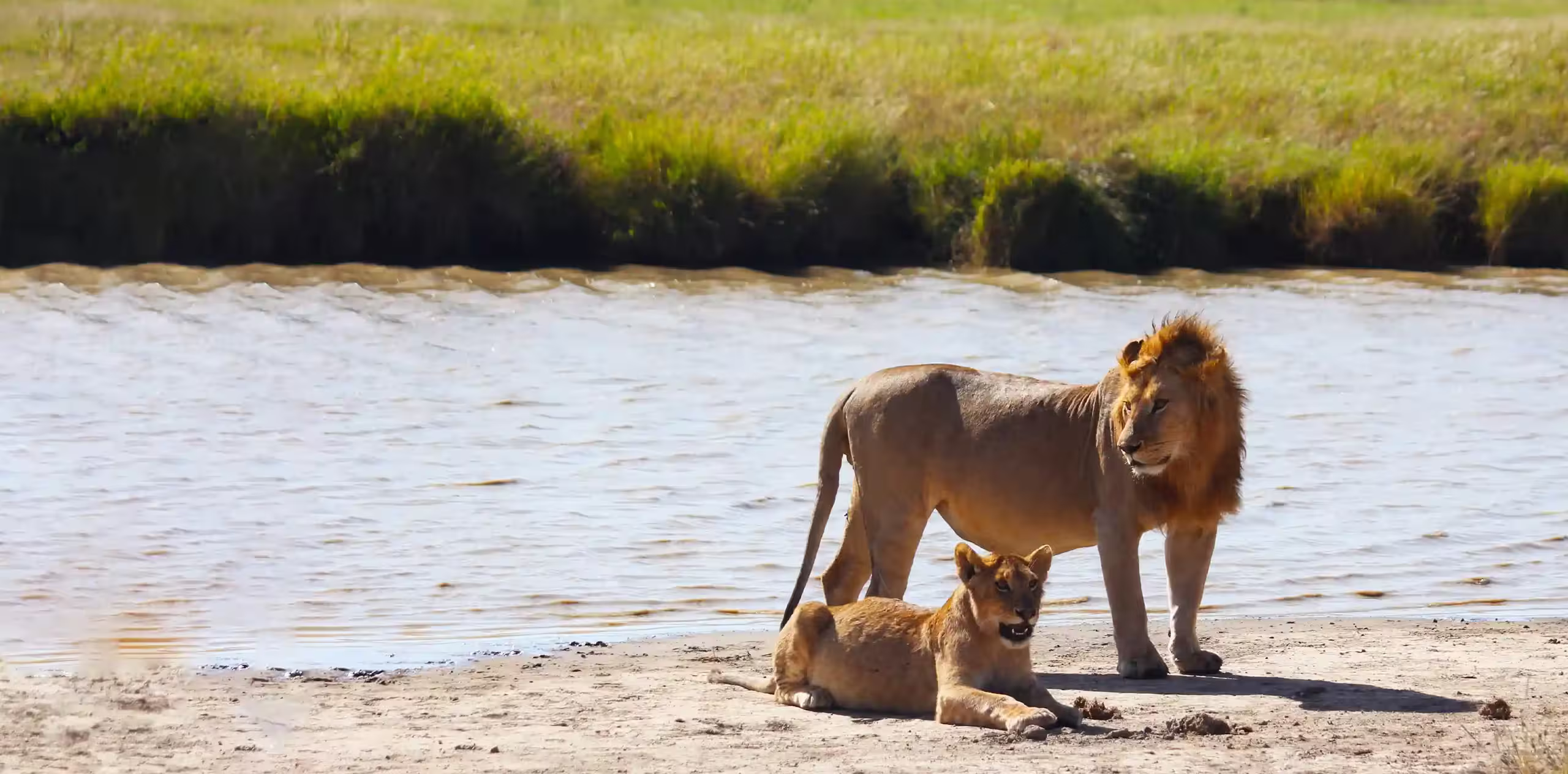 Tanzania Low Season Safari Cost