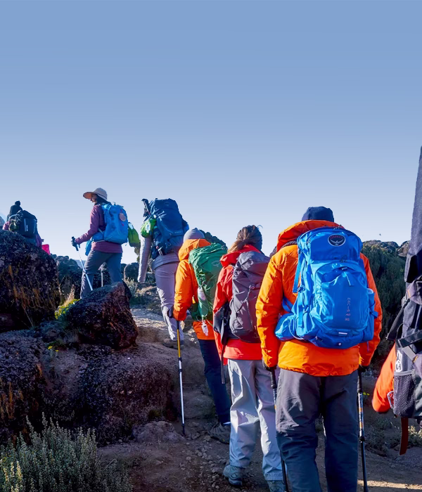 7 Days Machame Route