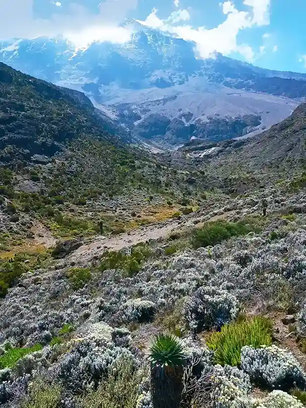 Kilimanjaro Machame Route