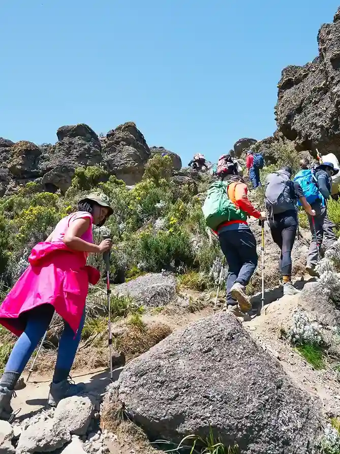 7 Days Machame Route