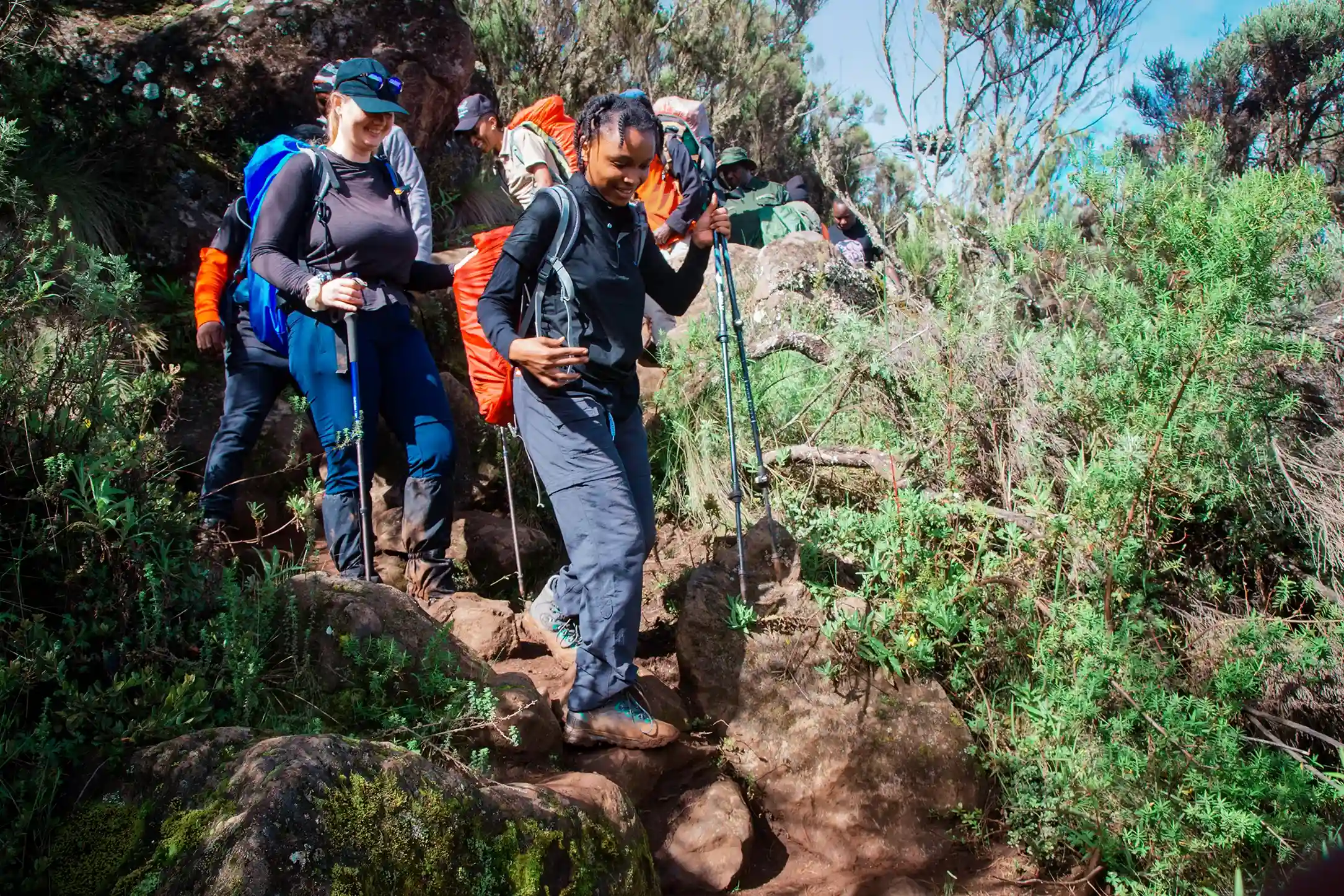 Tanzania Tour Guide