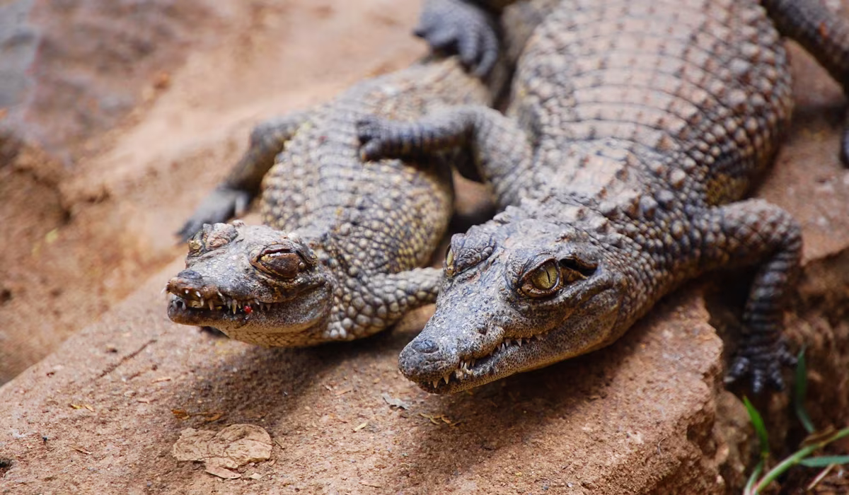 50 Things To Do In Arusha