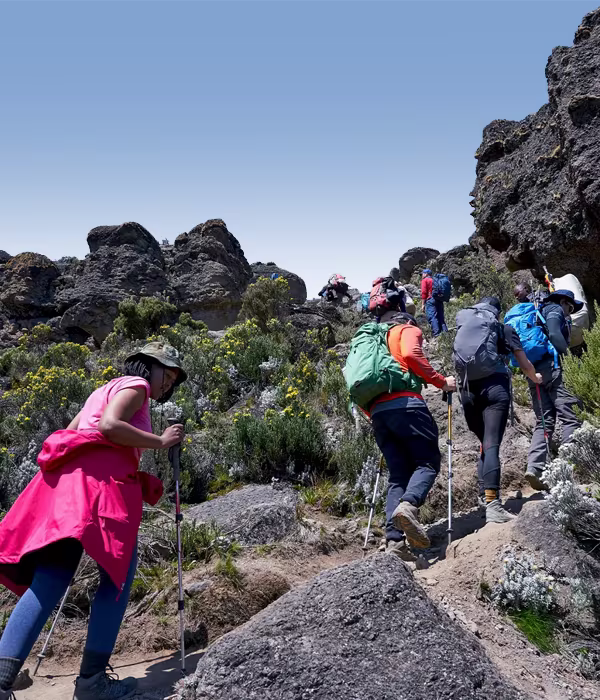 6 Days Mount Meru Climbing