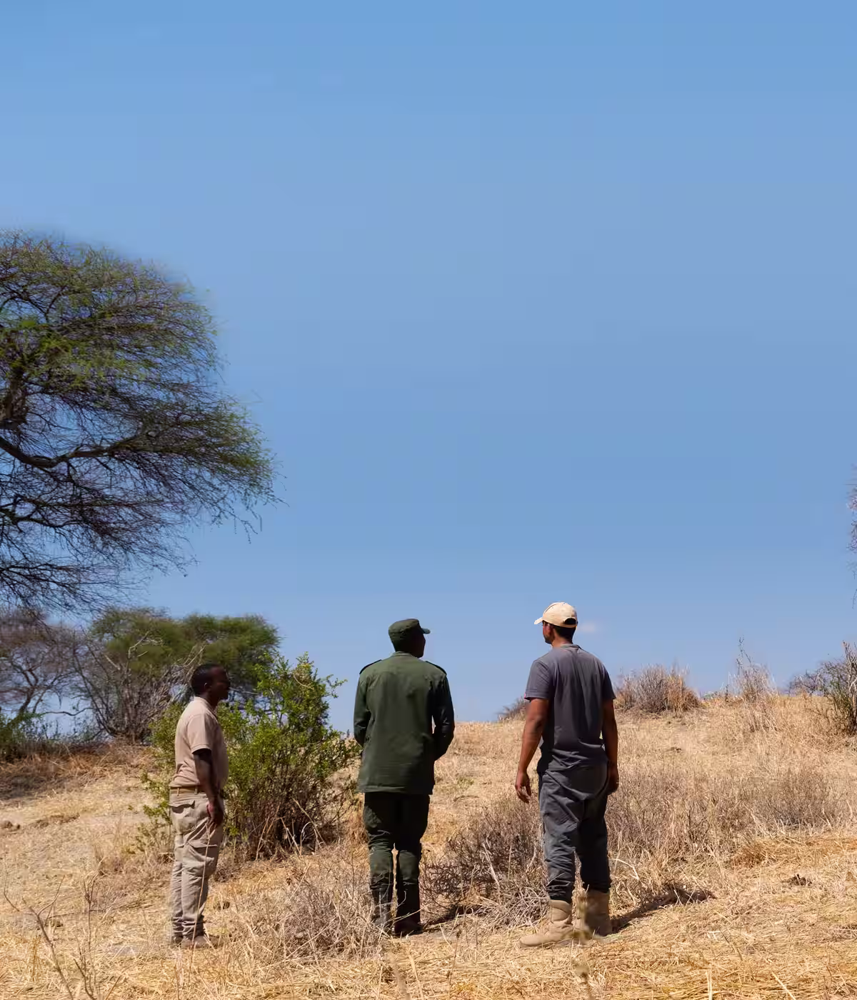 Tarangire National Parks