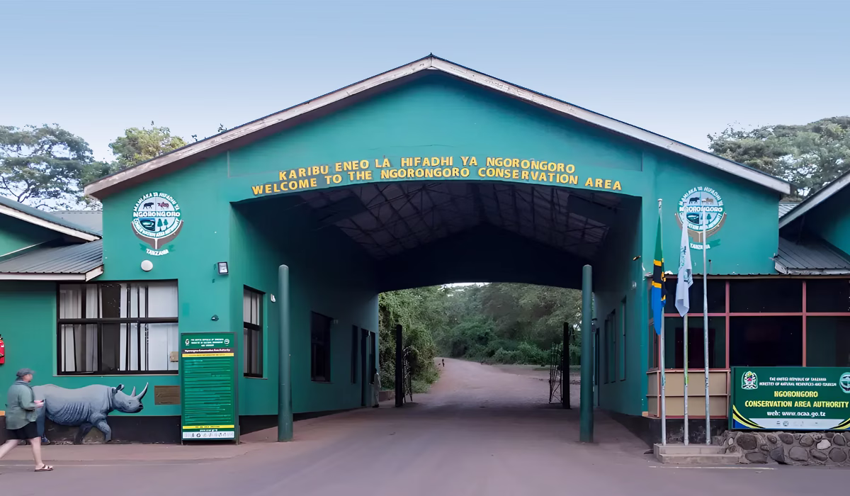 Ngorongoro Safari Packages