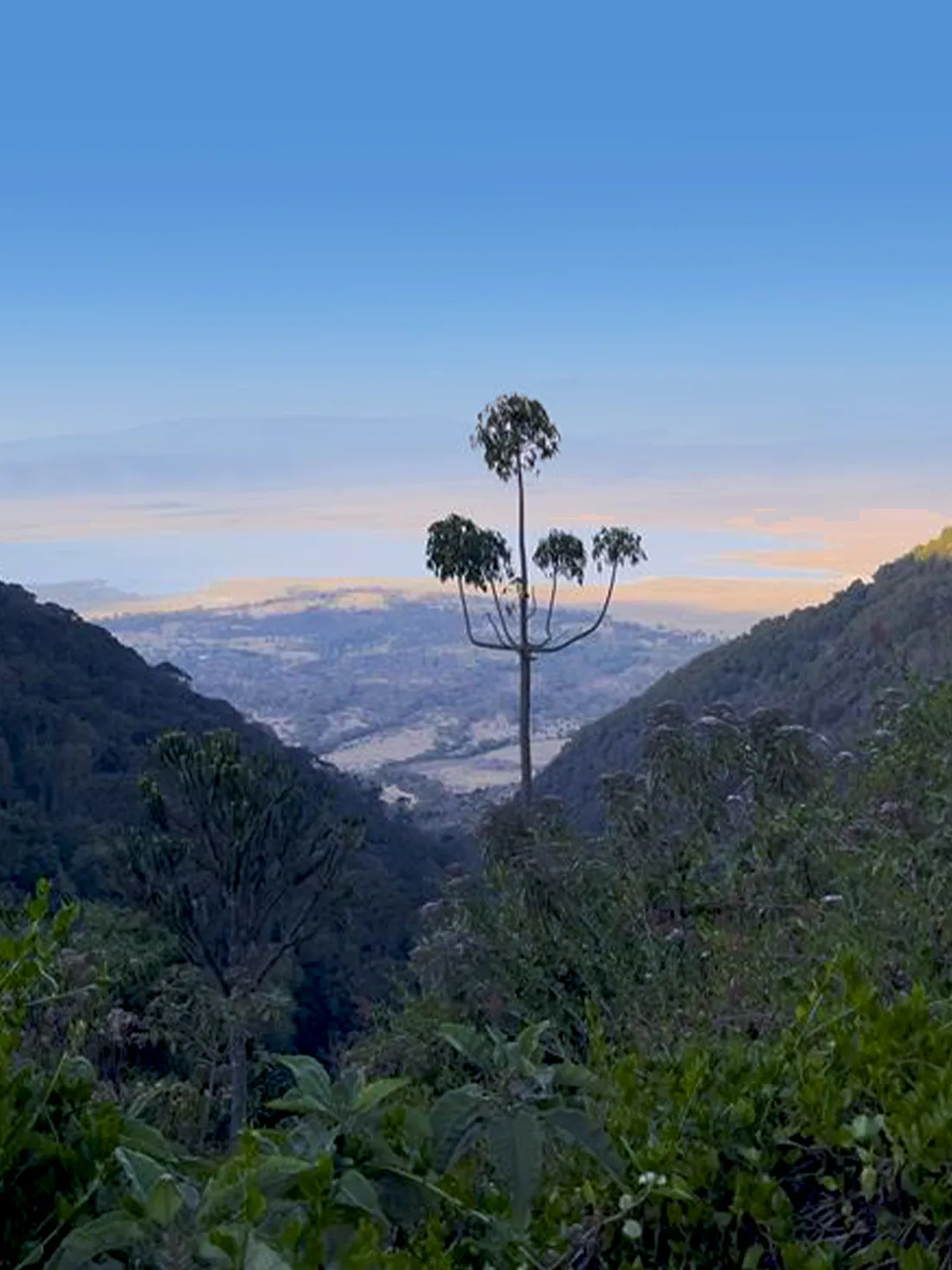 9 Days Ngorongoro Highlands Trek