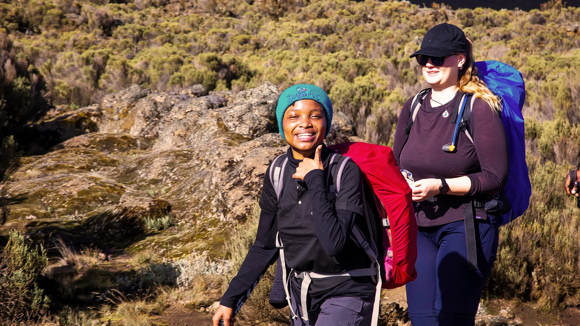 Tanzania Safari Experience
