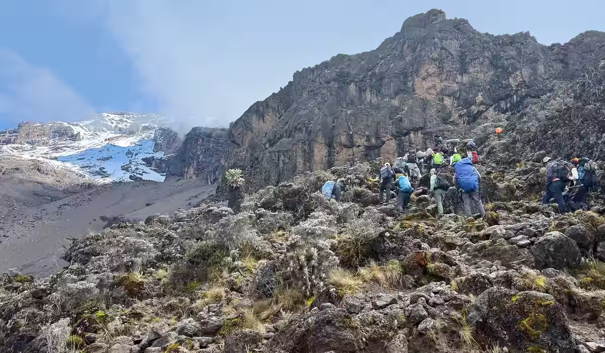 Mount Kilimanjaro Pictures 
