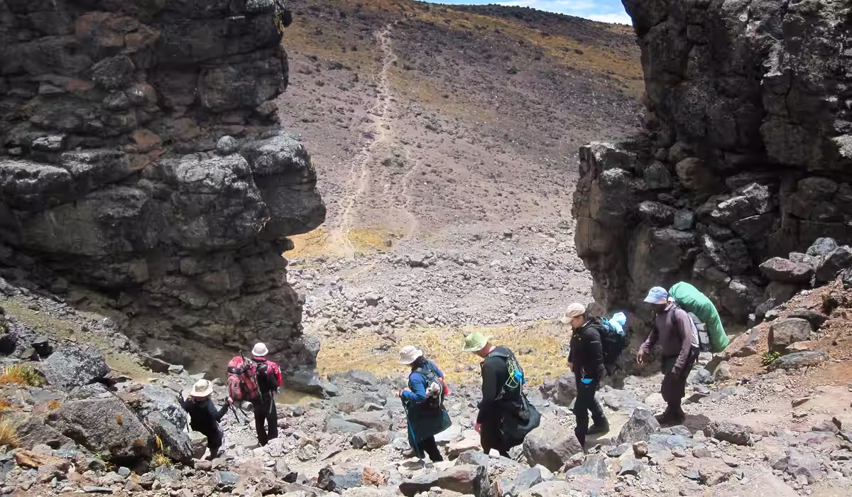 Kilimanjaro Pictures 