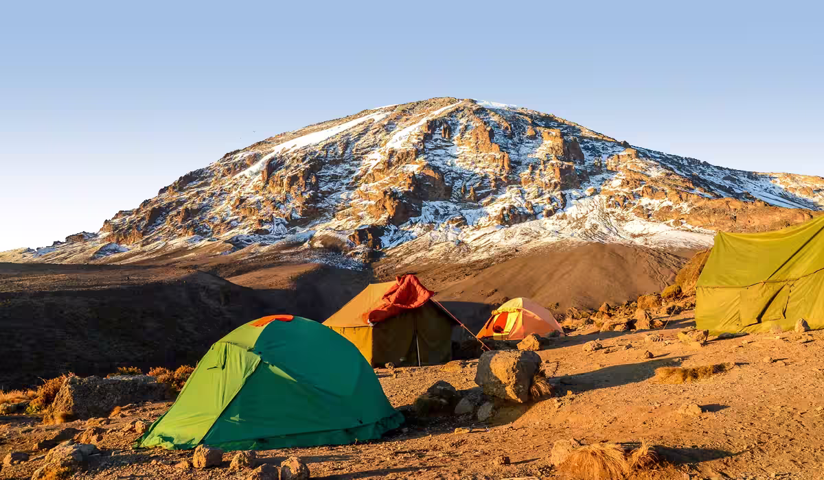 Kilimanjaro Pictures 