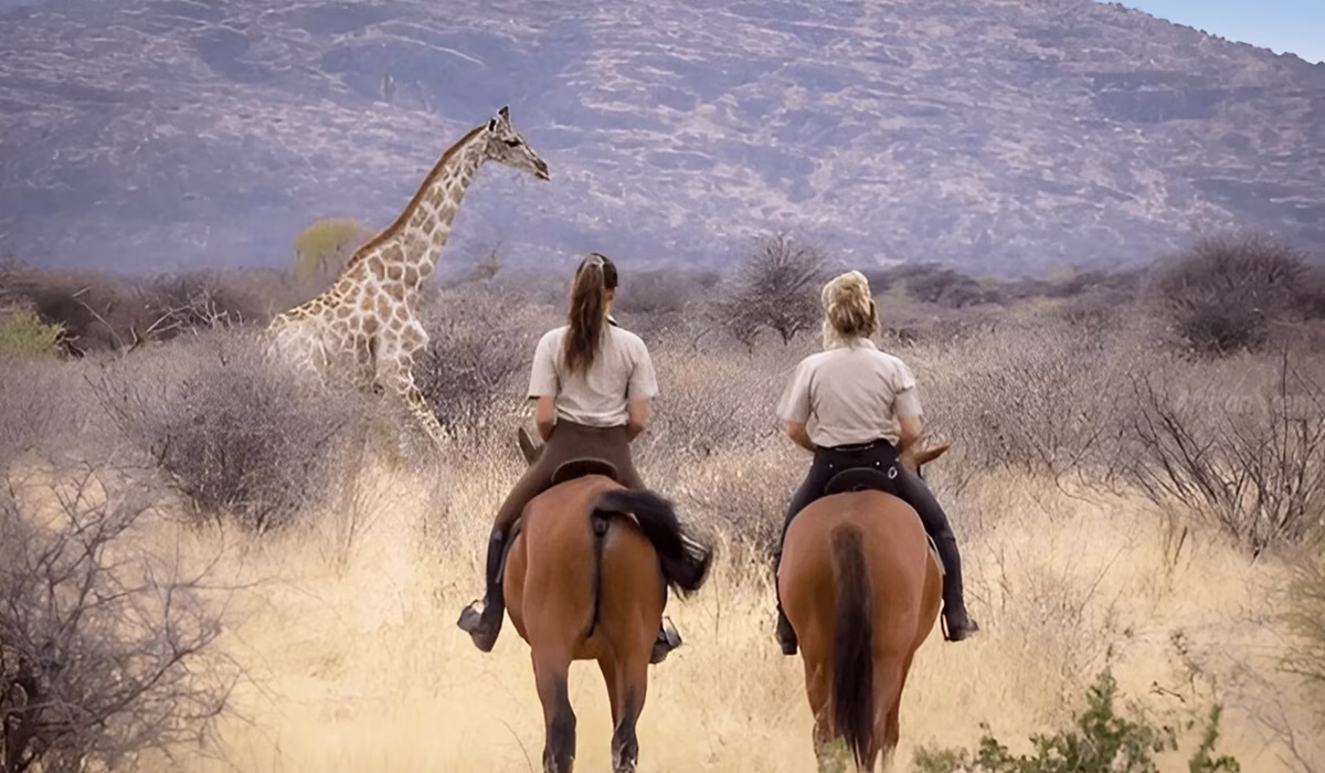 50 Things To Do In Arusha