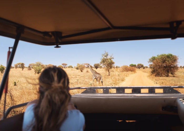 Tanzania Safari Cost From Uk