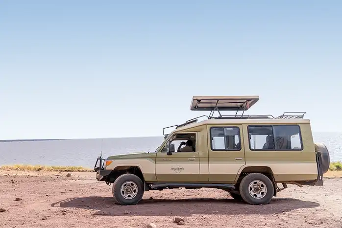 Tailor-Made Adventures