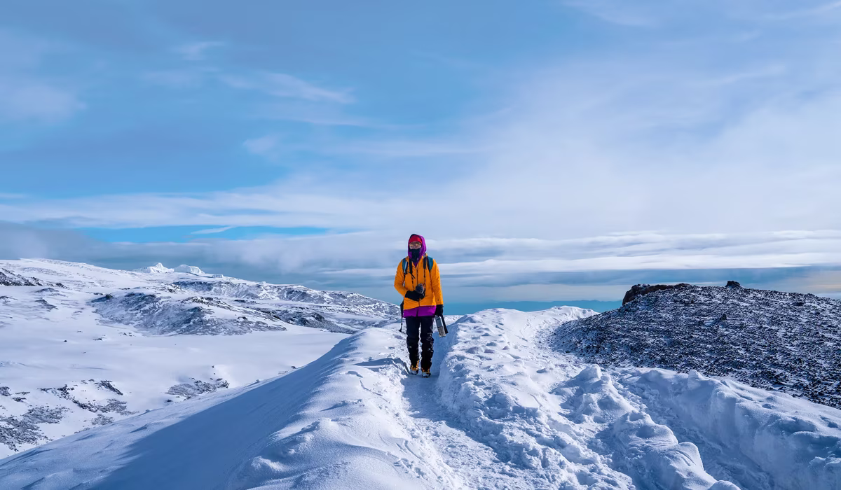 Snows Of Kilimanjaro