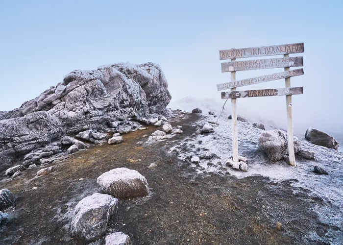Snows On Kilimanjaro