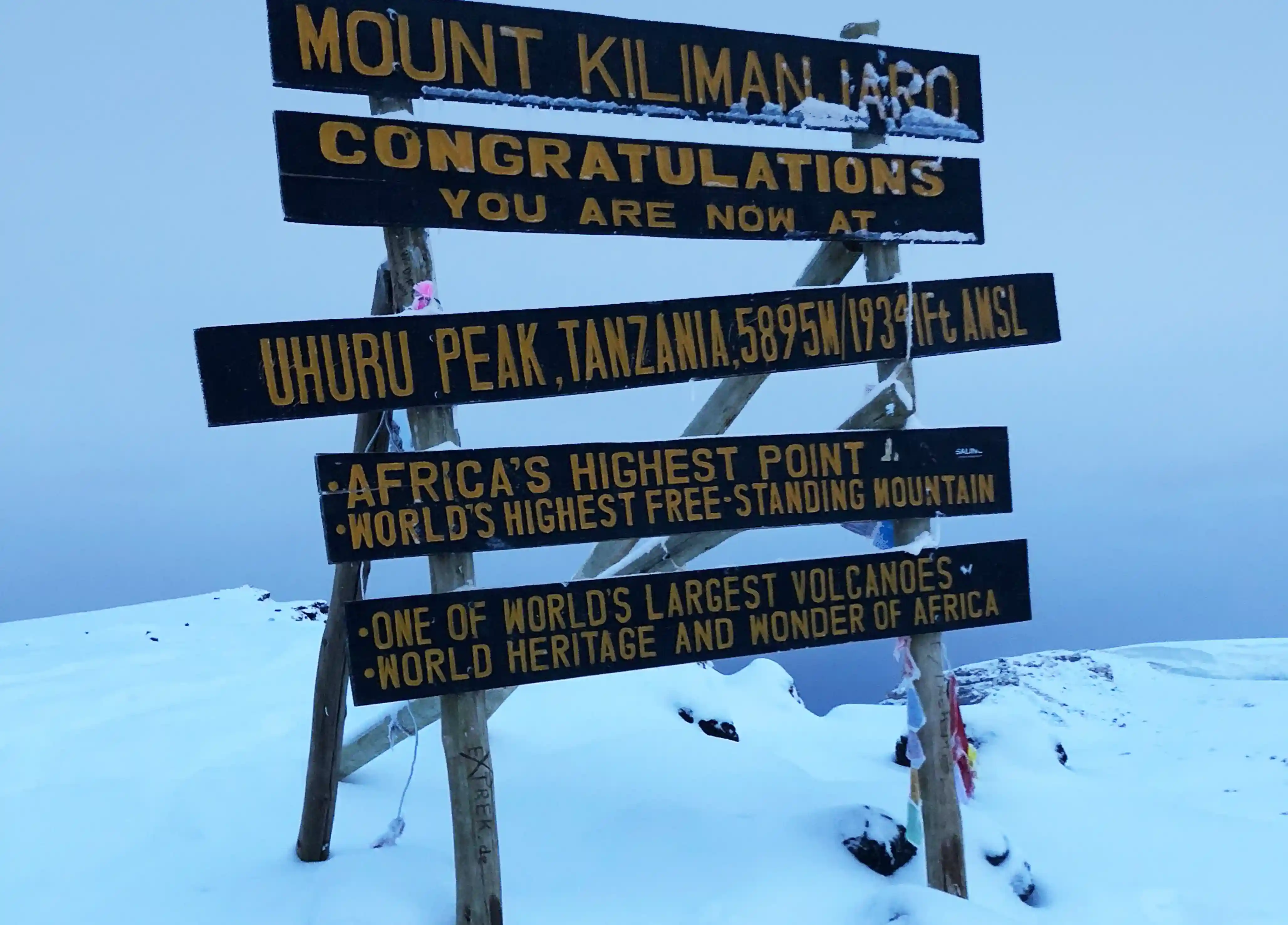 Snows On Kilimanjaro
