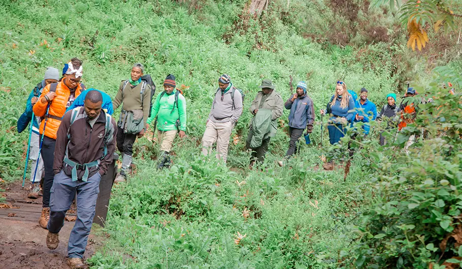 Solo Kilimanjaro Climb