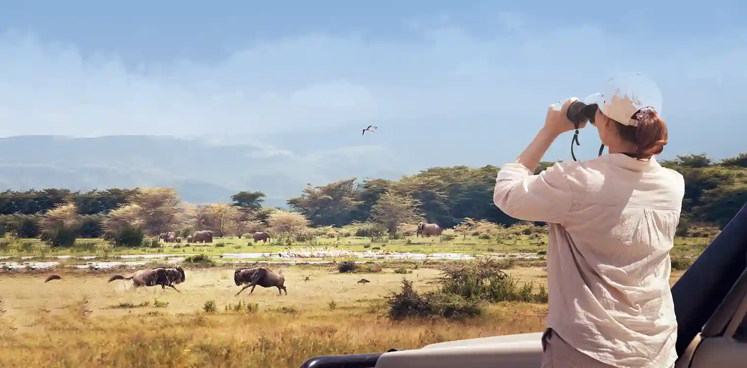 Tailor Made Safari Experience