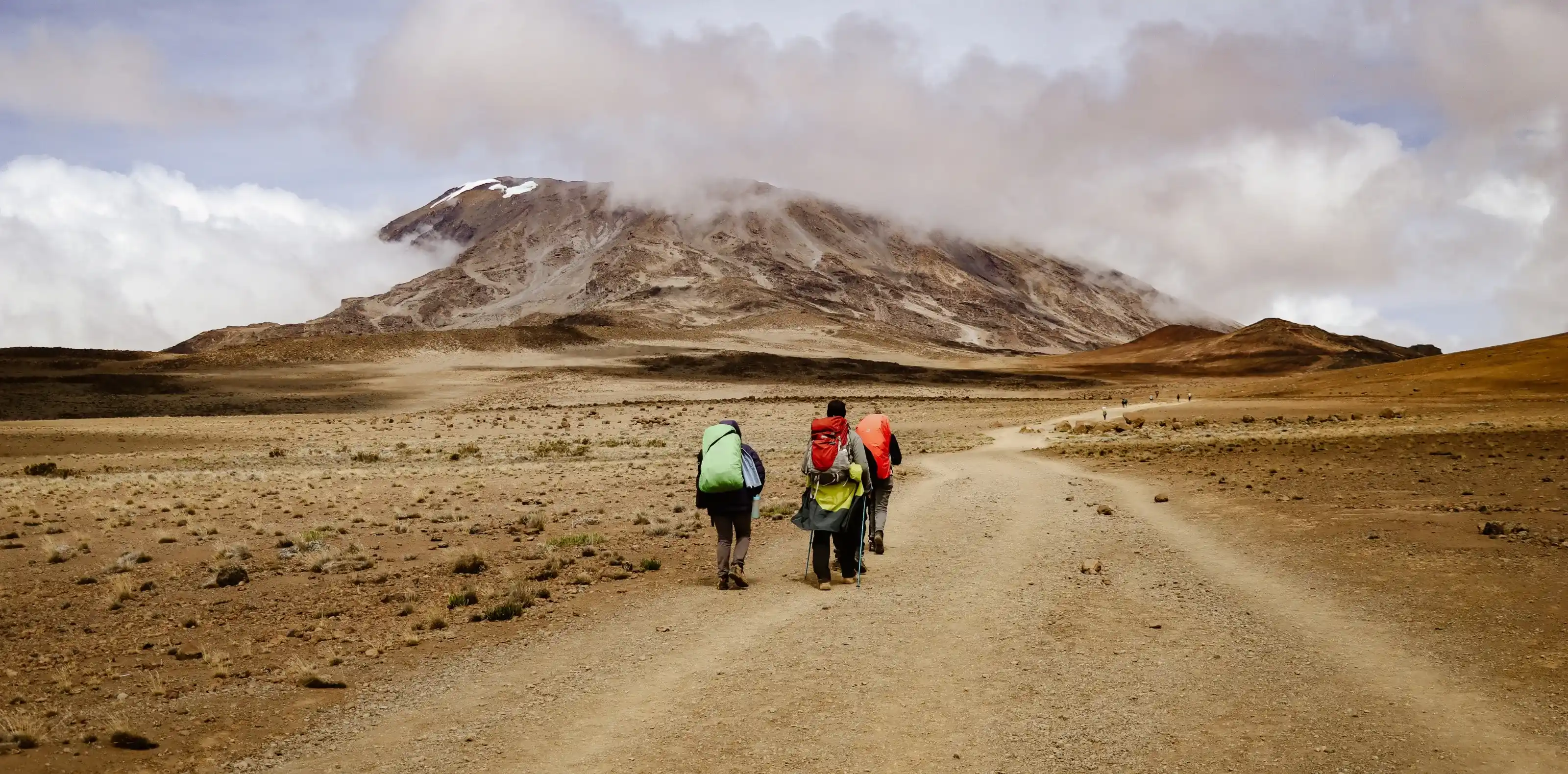Kilimanjaro Tailormade Private Treks