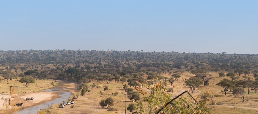 9 Days Western Tanzania Safari