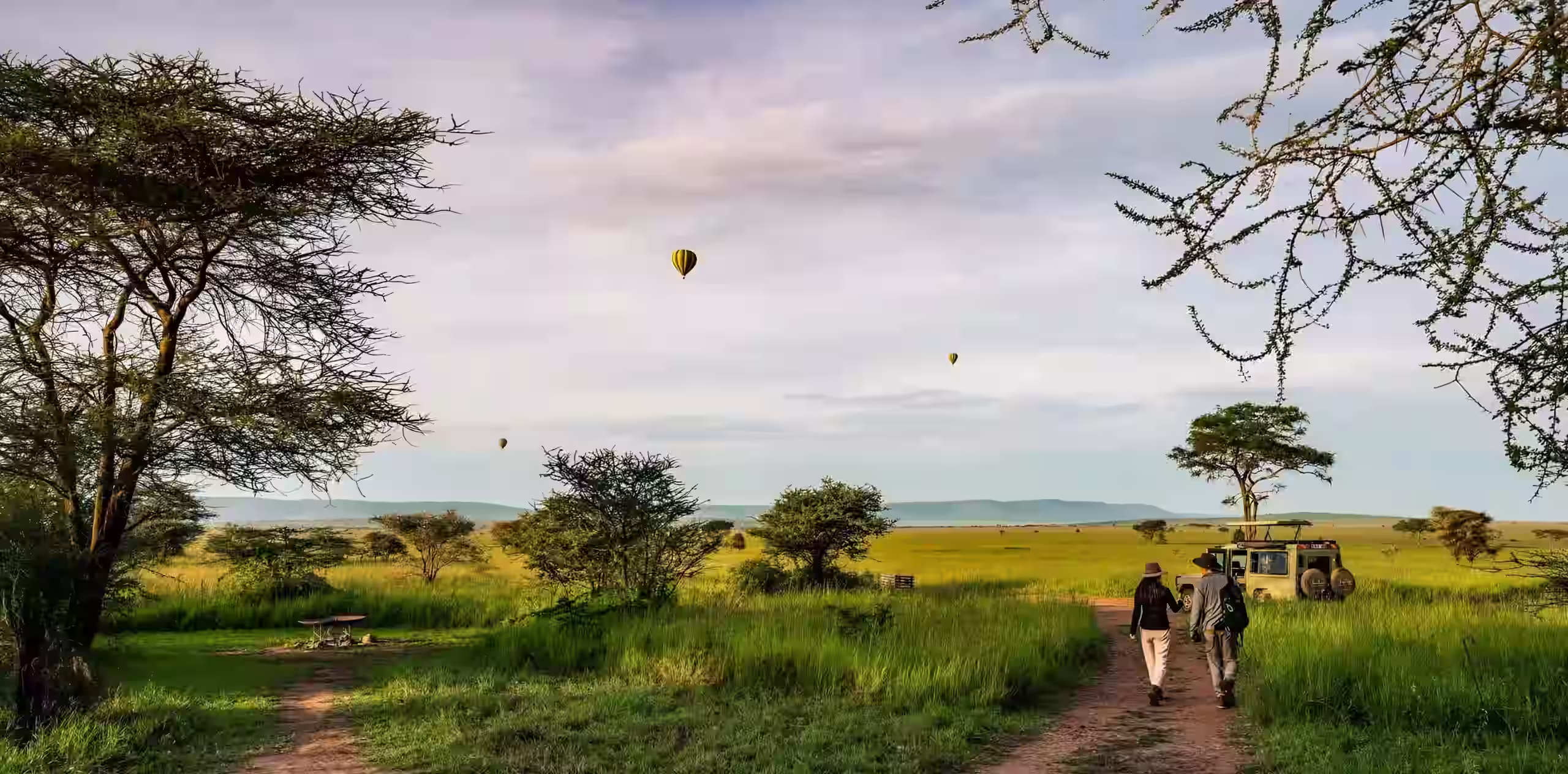 Tanzania Luxury Safari Packages