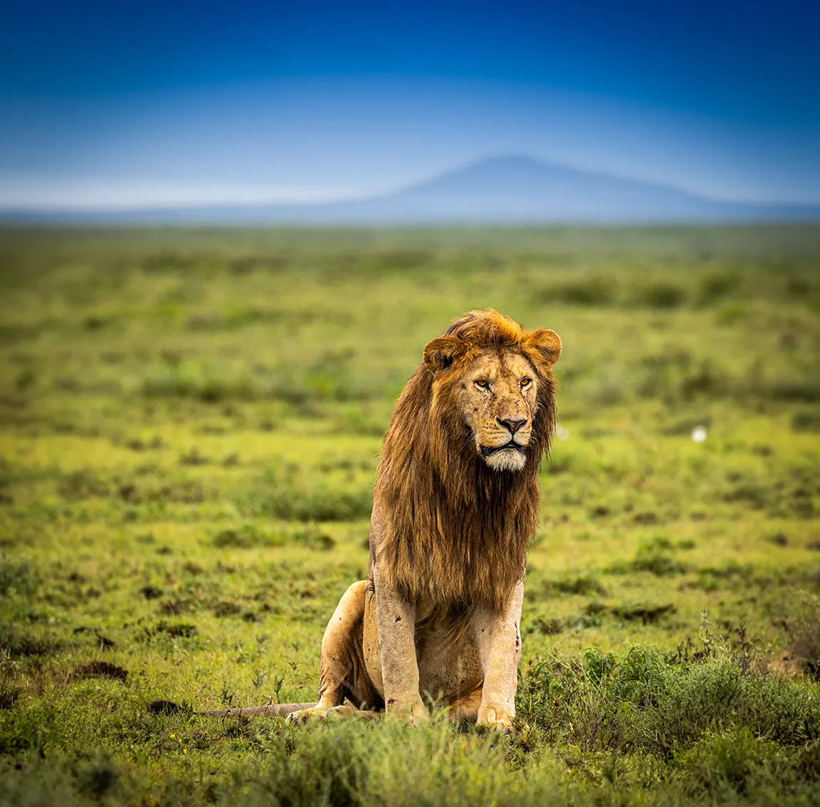 Serengeti National Park