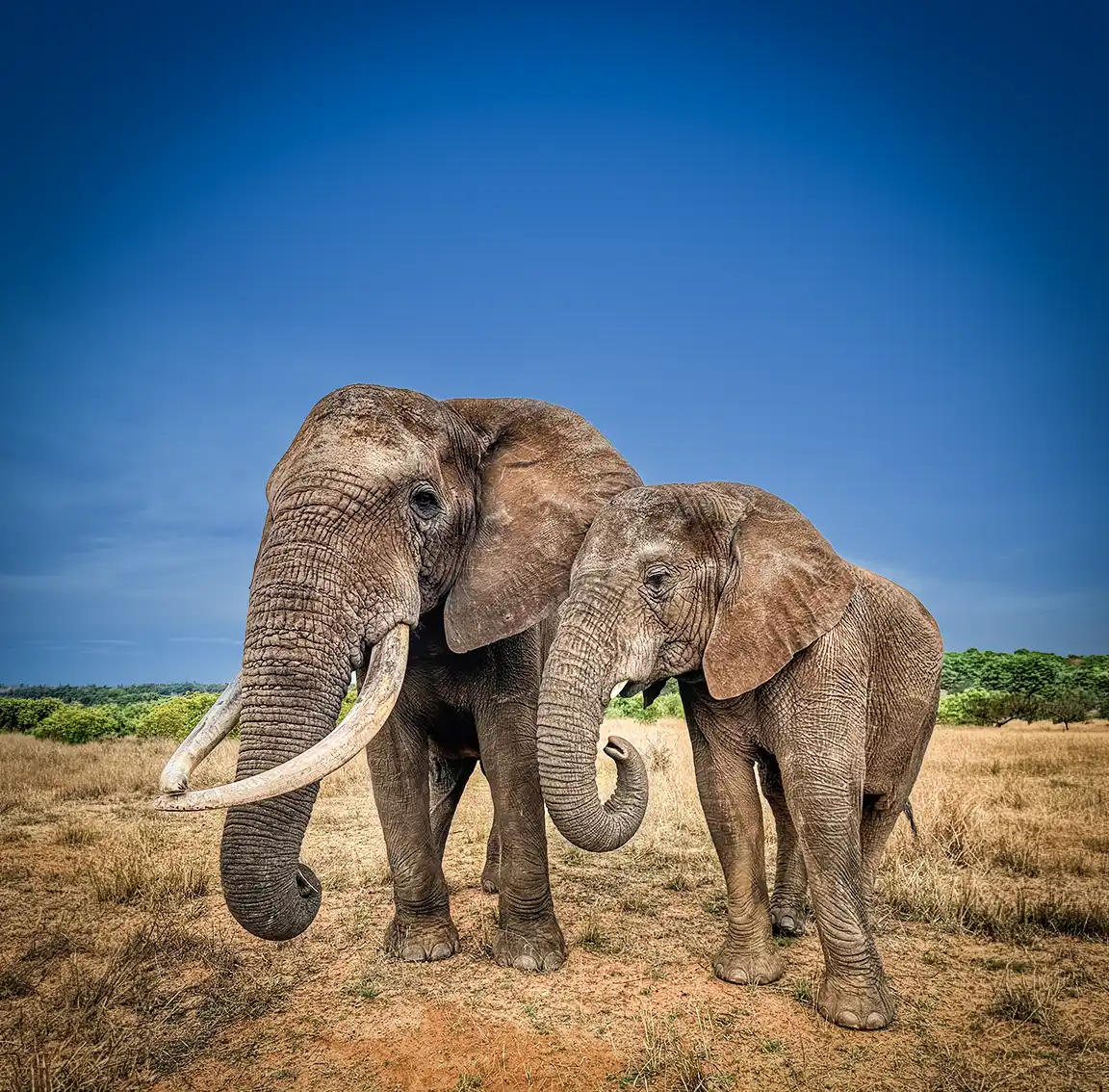 Tarangire National Park