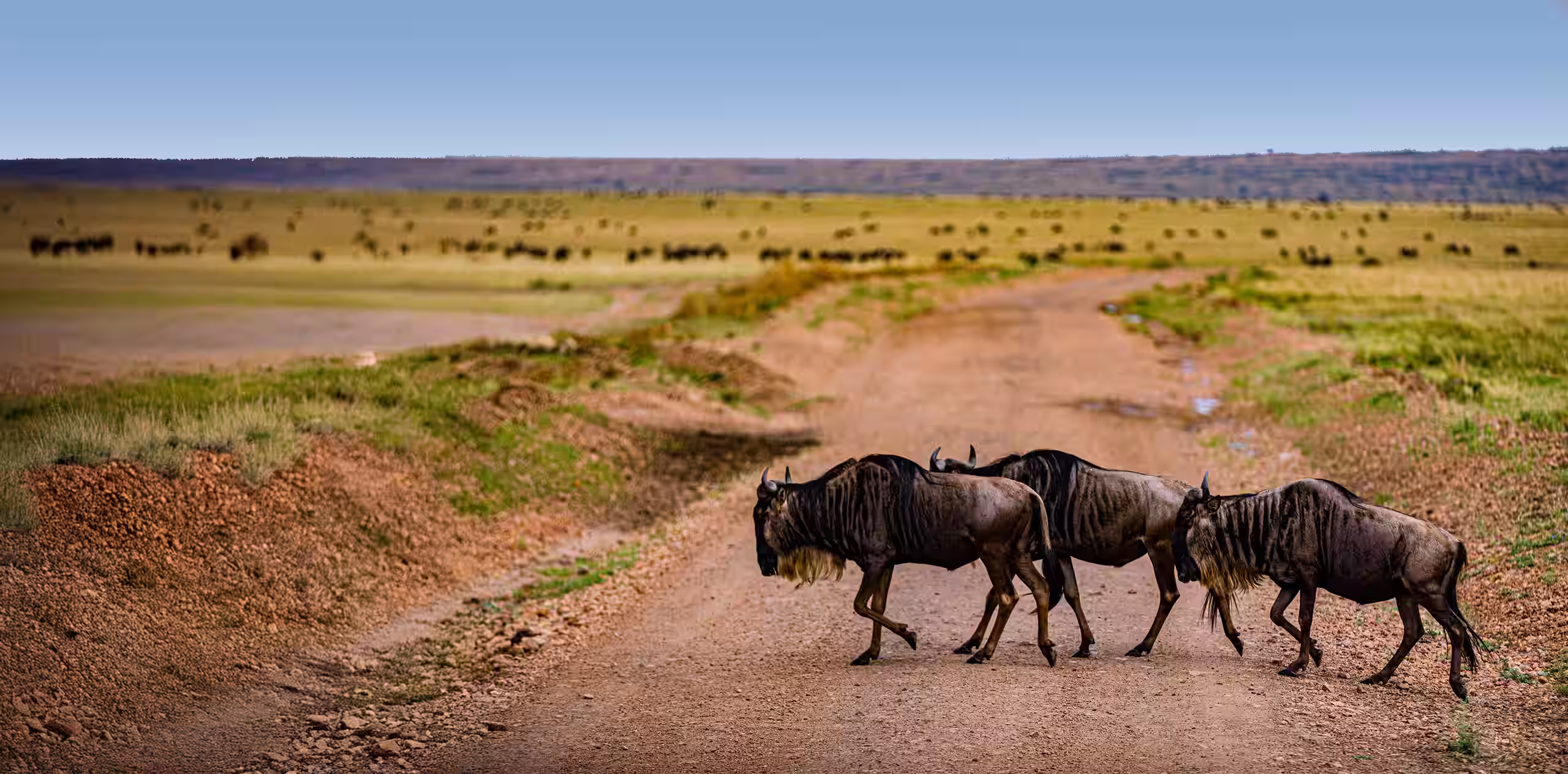 Tanzania Safari Price