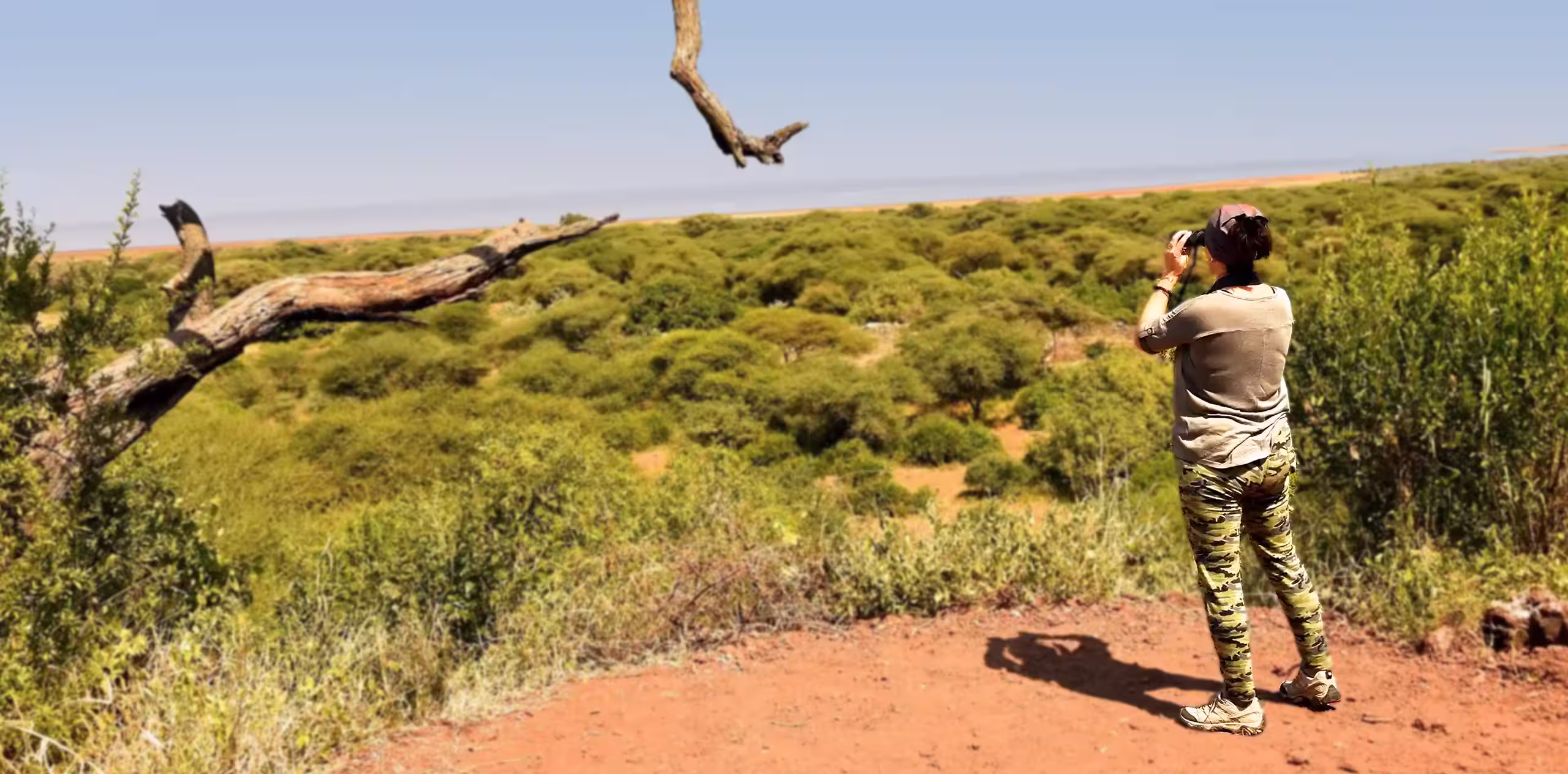 Tanzania Safari Experience