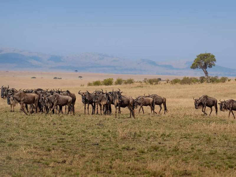 Best Time To Visit Tanzania