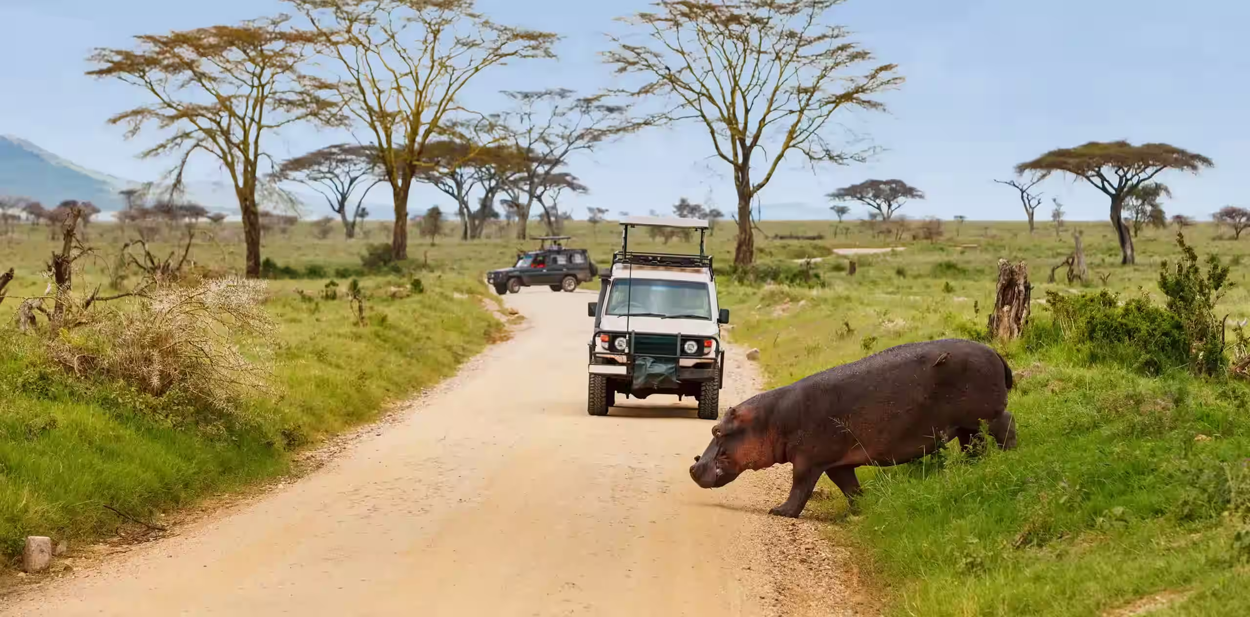 Tanzania Safari Planning