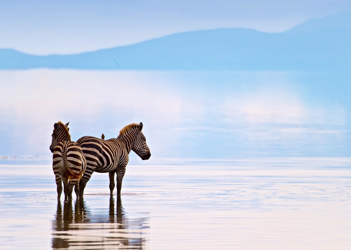 Tanzania Travel Guide