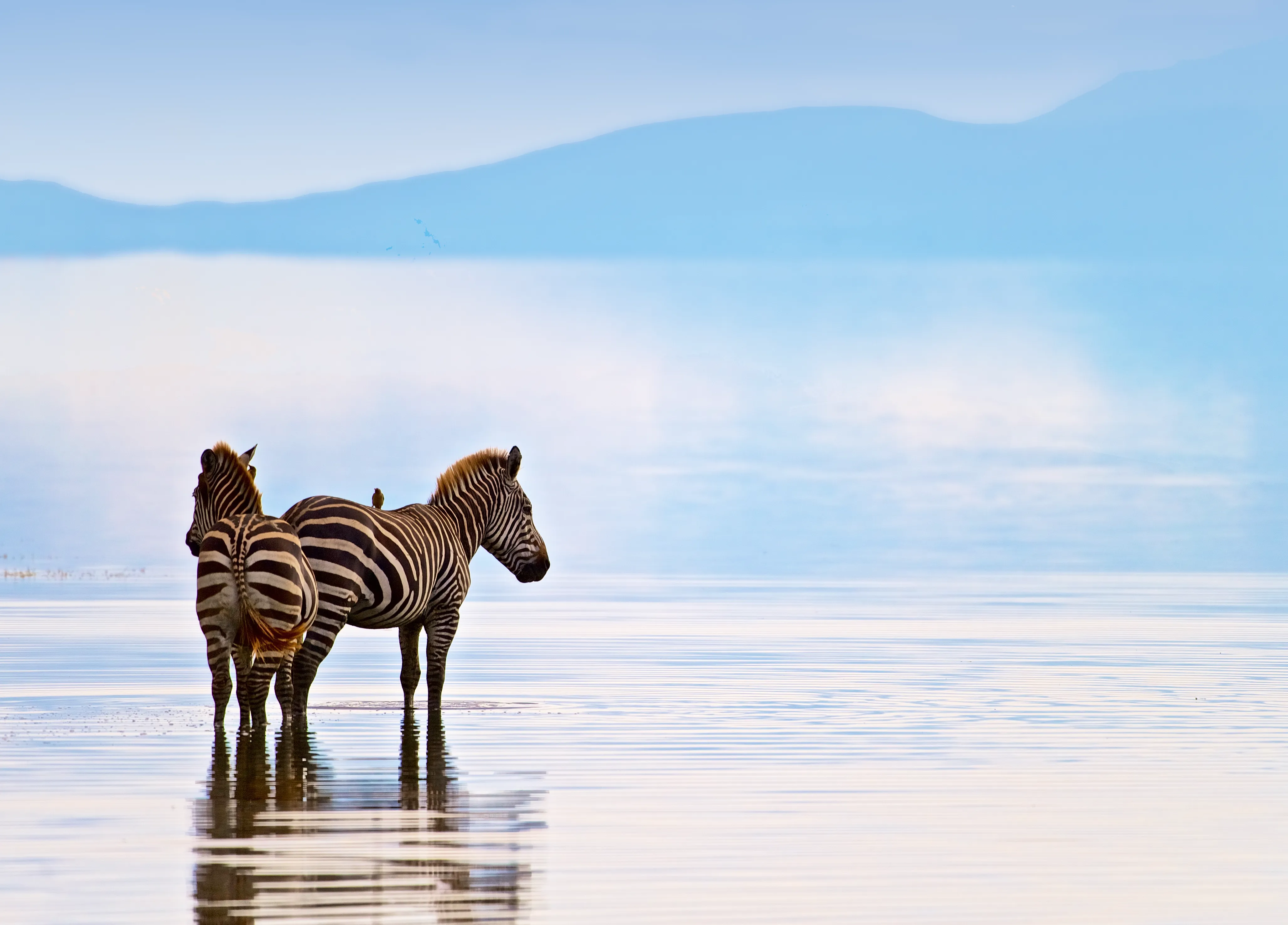 Tanzania Travel Guide